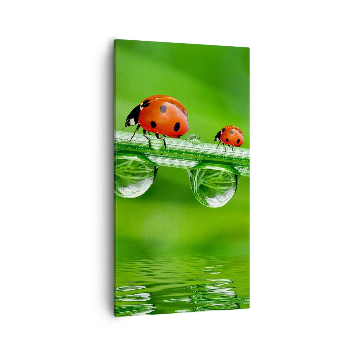 Obraz na plátně - Na cestách celé léto - 55x100 cm