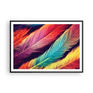 Plakát v černém rámu - Opeřená duha - 100x70 cm