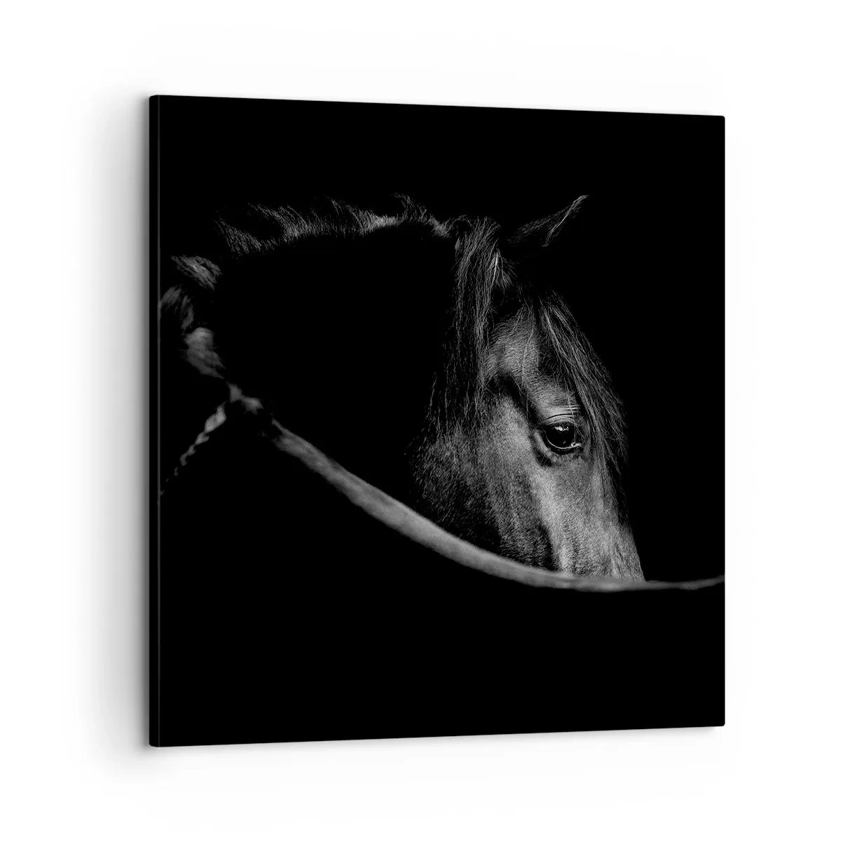 Obraz na plátně - Černý kníže - 60x60 cm