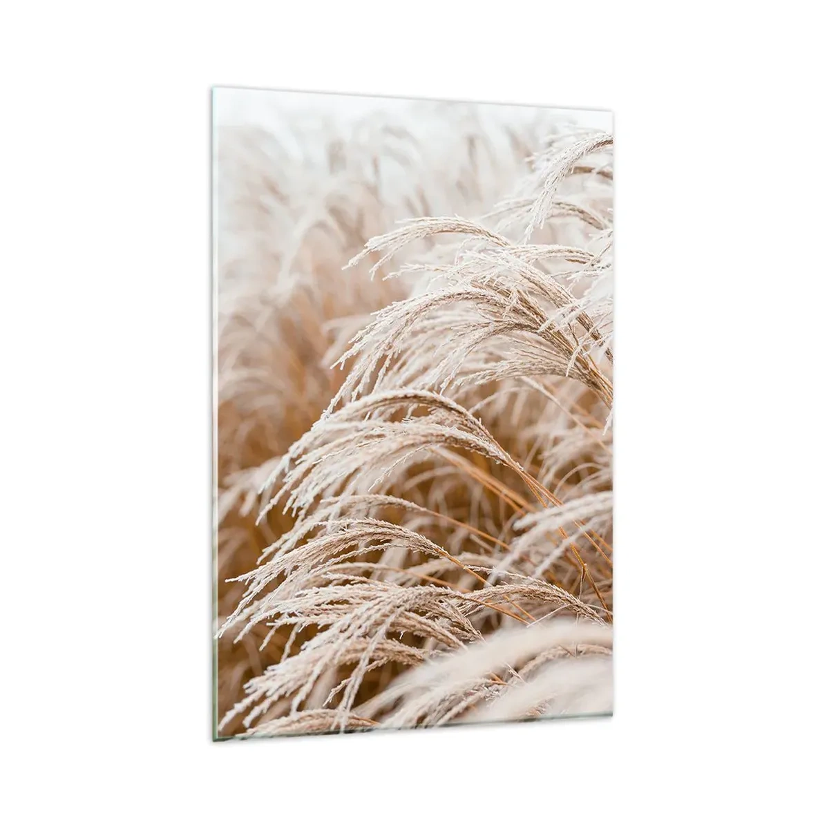 Obraz na skle - Klanění podzimnímu slunci - 80x120 cm