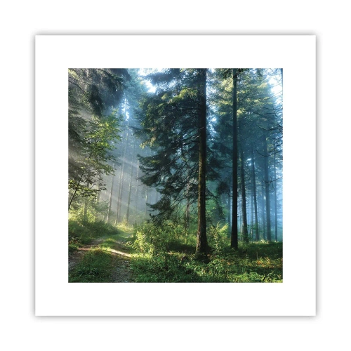 Plakát - Zářící za úsvitu - 30x30 cm