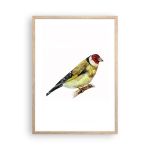 Plakát v rámu světlý dub - Ptáčí portrét - 50x70 cm