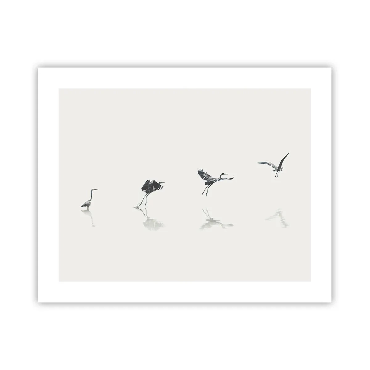 Plakát - Čtyři jednoduché kroky - 50x40 cm