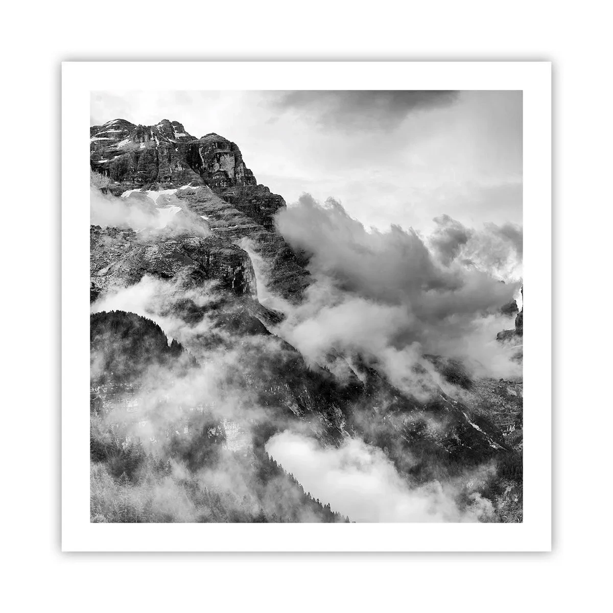 Plakát - Krásné a kruté - 60x60 cm