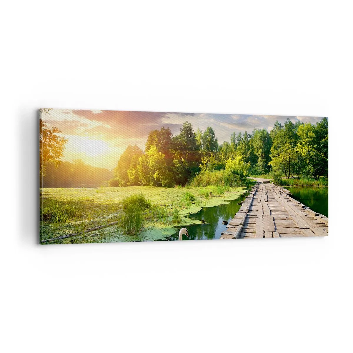 Obraz na plátně - Léto, léto všude - 100x40 cm