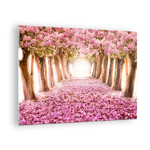Obraz na skle - Alej kvetoucích stromů s růžovými okvětními lístky na zemi - 70x50cm - Cesta do ráje - Moderní nástěnná dekorace do obývacího pokoje a ložnice ARTTOR