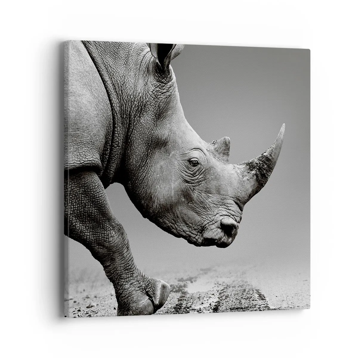 Obraz na plátně - Nezastavitelná síla - 40x40 cm