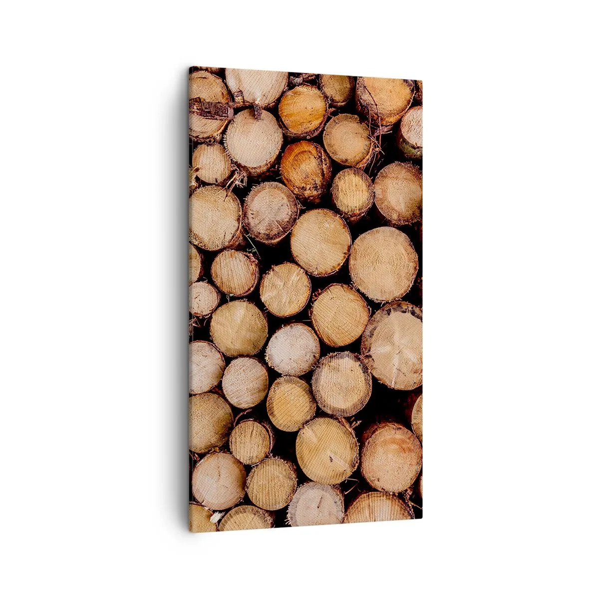 Obraz na plátně - Nový začátek - 45x80 cm