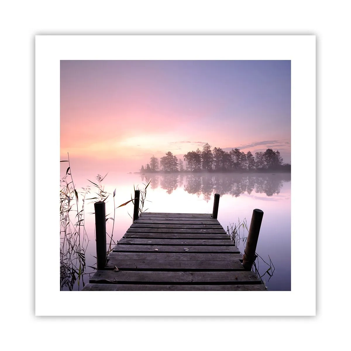 Plakát - Z liliové mlhy… - 40x40 cm