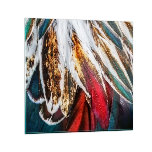 Obraz na skle - Tajemství letu - 70x70 cm