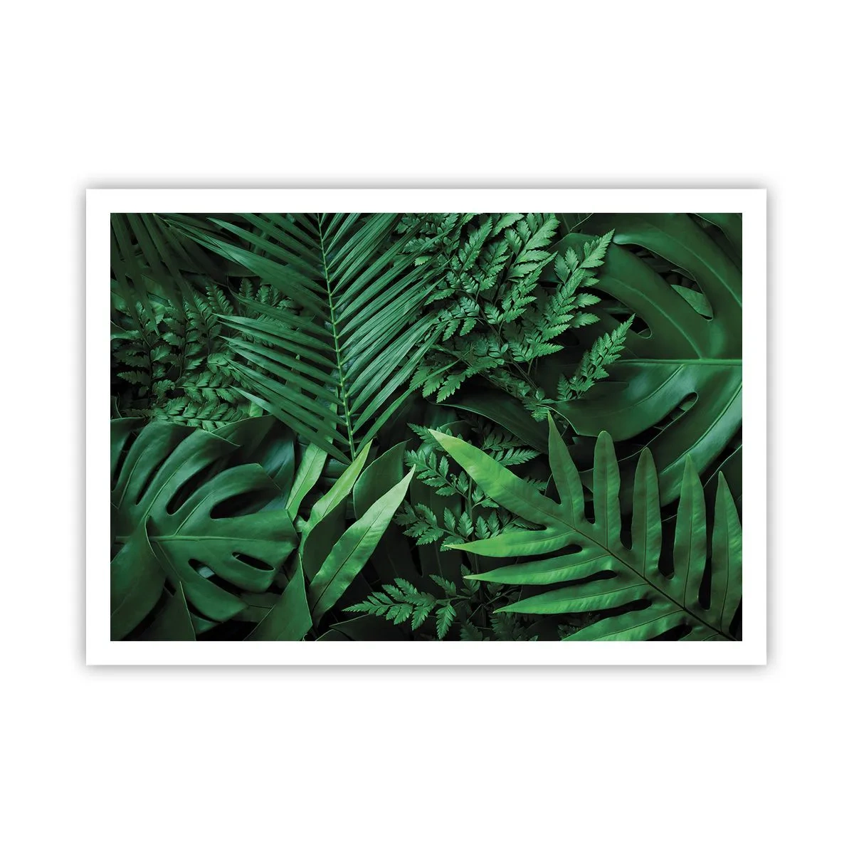 Plakát - Objaté v zeleni - 100x70 cm