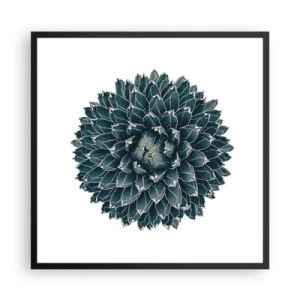 Plakát v černém rámu - Hvězda pouště - 60x60 cm