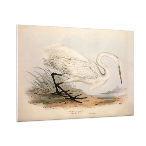 Obraz na skle - Paní rákosin - 100x70 cm