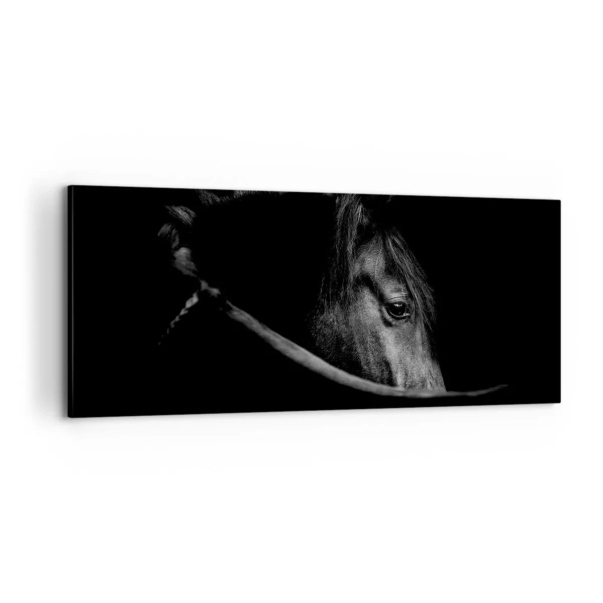 Obraz na plátně - Černý kníže - 100x40 cm