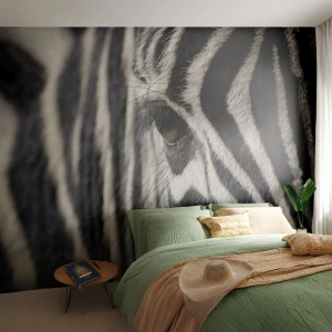 Fototapeta Standard Eco - Portrét s pruhy - Zvířata, Žebra, Afrika - 350x256 cm