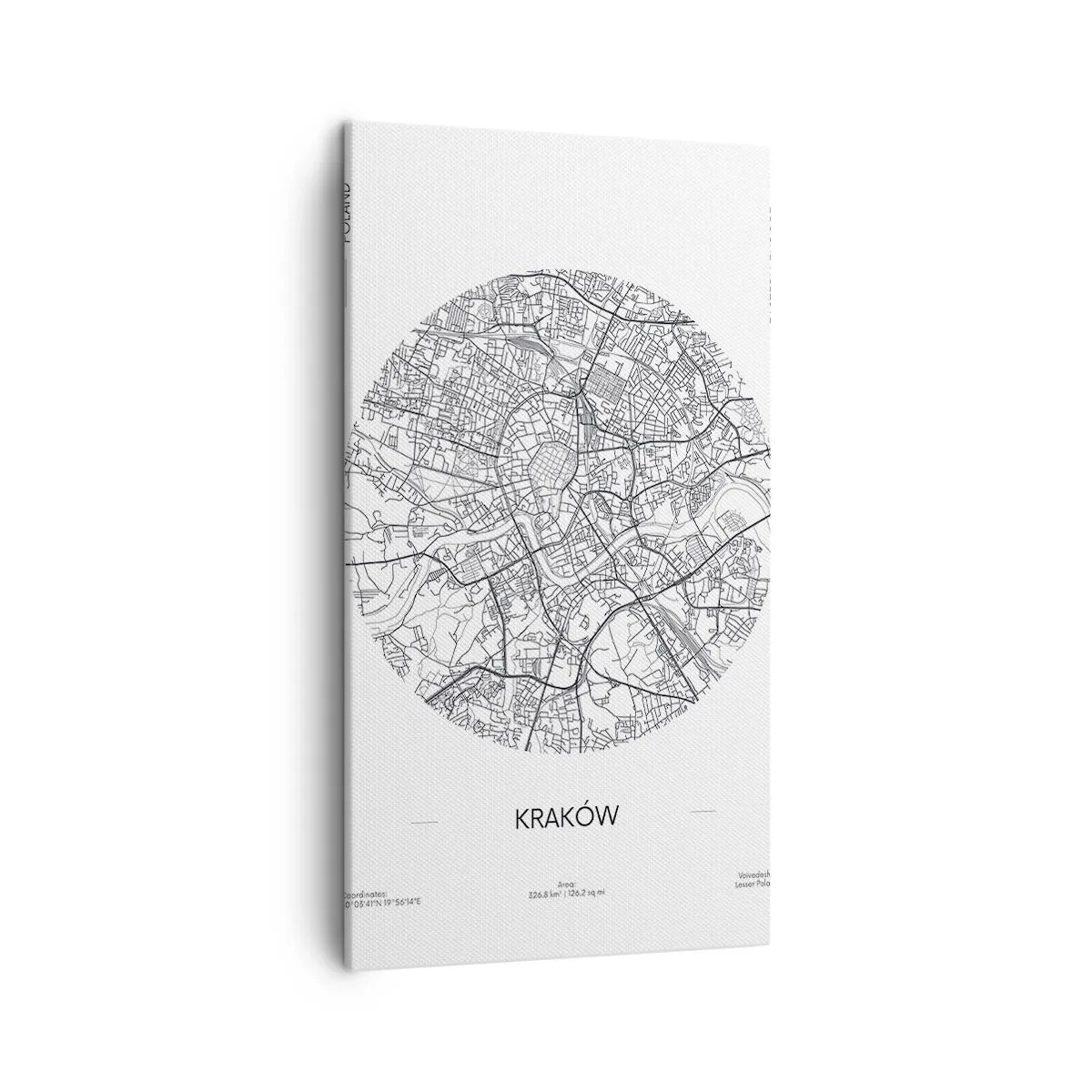 Obraz na plátně - Anatomie Krakova - 45x80 cm
