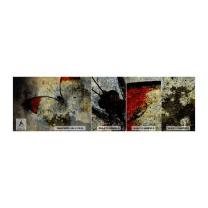 Fototapeta Vzorek Standard Eco - Podívej se, než zmizím - Abstrakce, Motýl, Kus - 100x30 cm