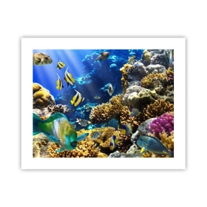 Plakát - Velký provoz na prázdninové stezce - 50x40 cm