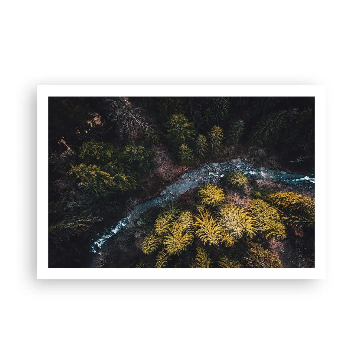 Plakát - Rychle, stále rychleji - 91x61 cm