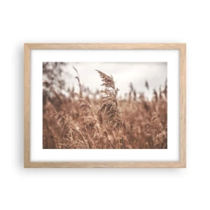 Plakát v rámu světlý dub - Na polích už je podzim - 40x30 cm