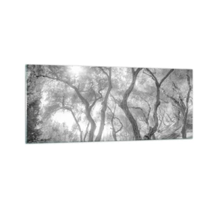 Obraz na skle - V olivovém háji - 100x40 cm