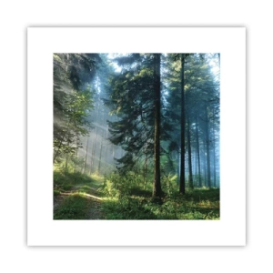 Plakát - Zářící za úsvitu - 30x30 cm