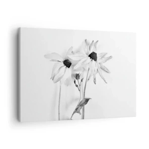 Obraz na plátně - Černobílé květiny s jemnou kompozicí - 70x50cm - Nikdo nechce být sám - Moderní nástěnná dekorace do obývacího pokoje a ložnice ARTTOR