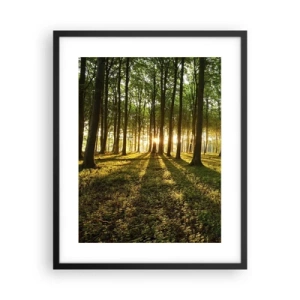Plakát v černém rámu - Fotografie všech jar - 40x50 cm