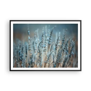 Plakát v černém rámu - Voňavý lán - 100x70 cm