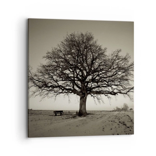 Obraz na plátně - Odtud až na věčnost - 70x70 cm