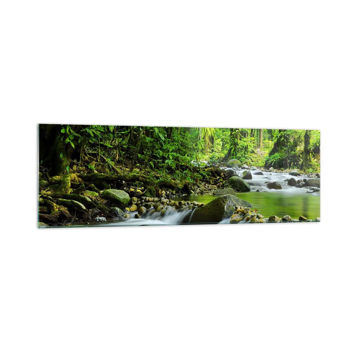 Obraz na skle - Plout mořem zeleně - 160x50 cm