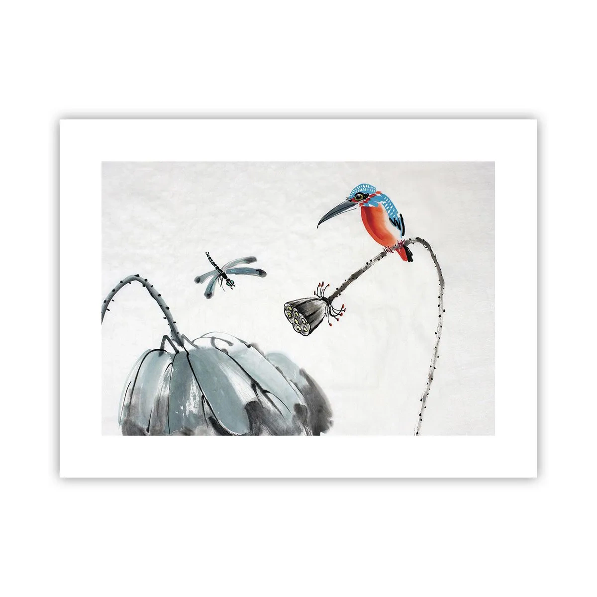Plakát - Život louky - 40x30 cm