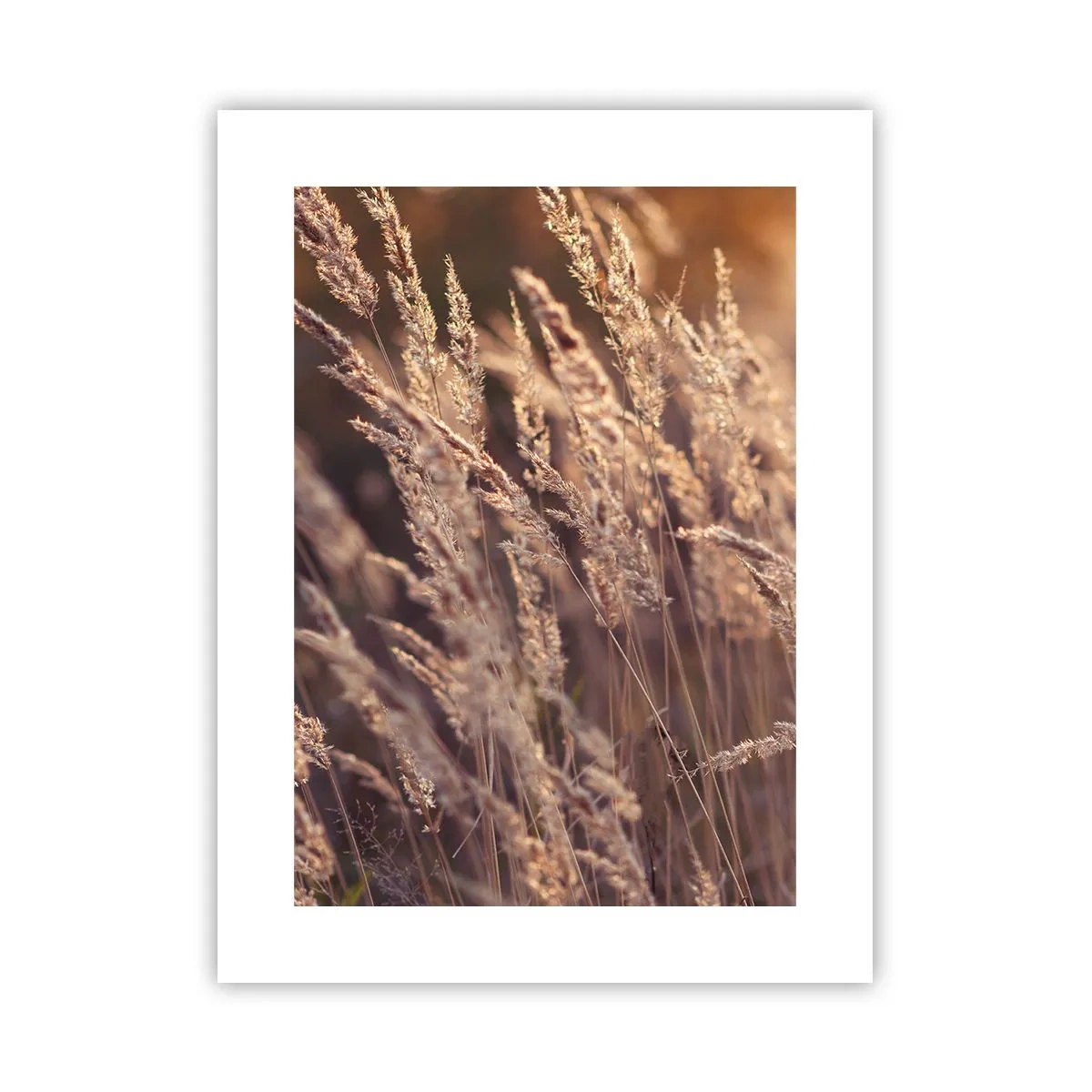 Plakát - Připraveni přivítat podzim - 30x40 cm