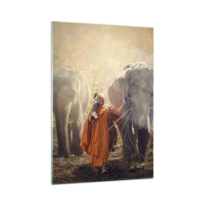 Obraz na skle - Plné pochopení - 50x70 cm