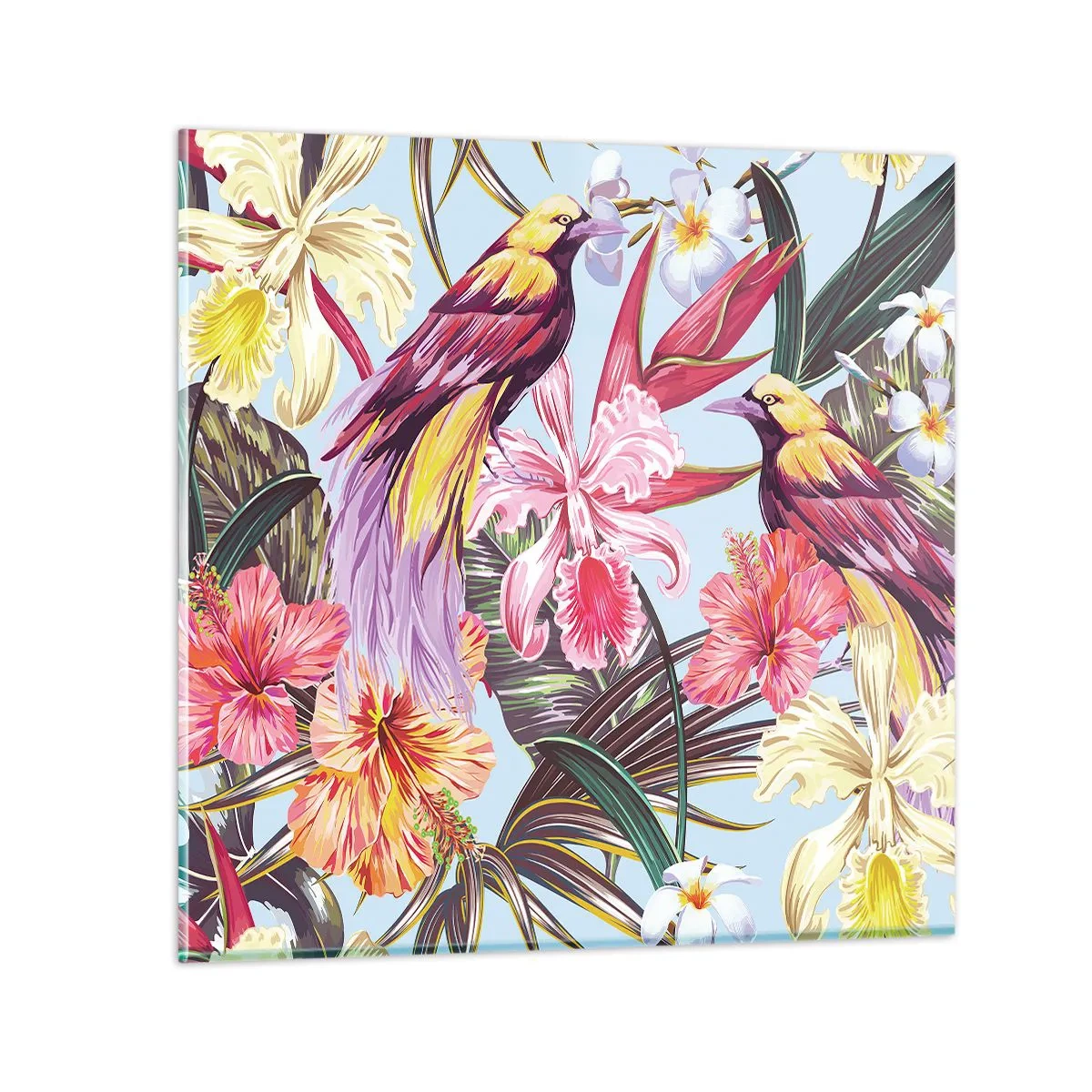 Obraz na skle - Plátky a pírka - 70x70 cm