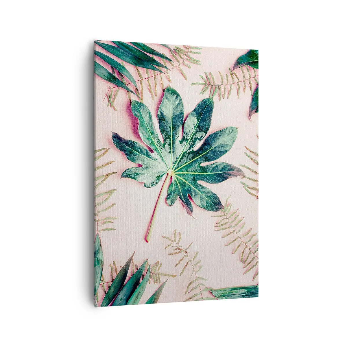 Obraz na plátně - Studie zelené na růžovém pozadí - 70x100 cm