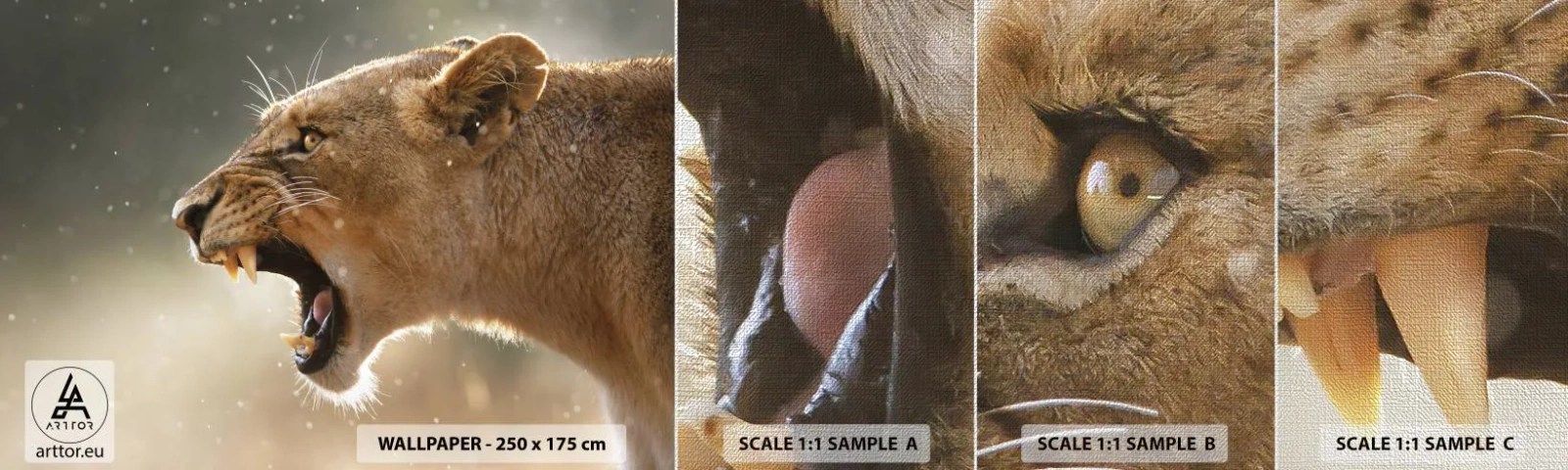 Vzor Fototapety Premium Canvas - Snaž se neposlouchat - Zvířata, Lev, Afrika - 100x30 cm