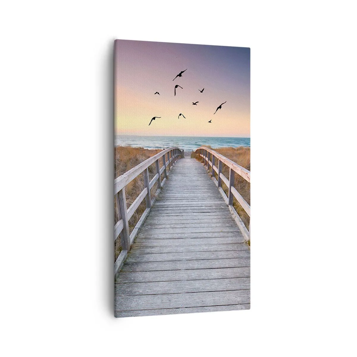 Obraz na plátně - Prostor pro vzestupy - 55x100 cm