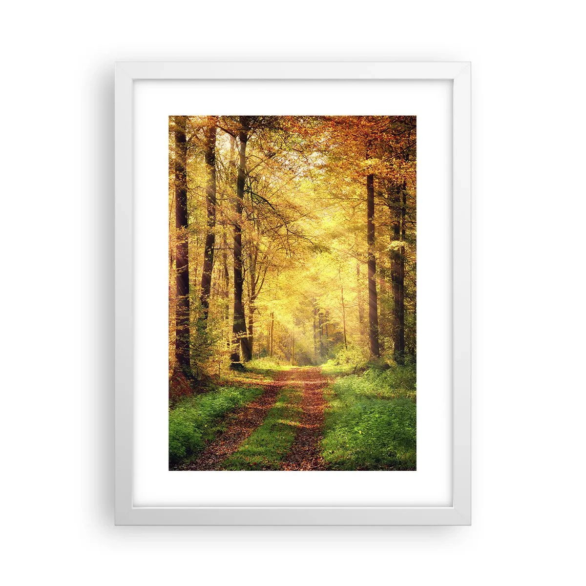 Plakát v bílém rámu - Lesně-zlaté ticho - 30x40 cm