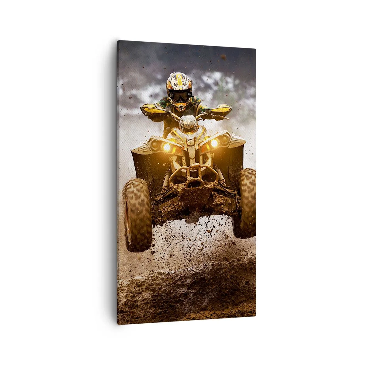 Obraz na plátně - No risk no fun - 55x100 cm