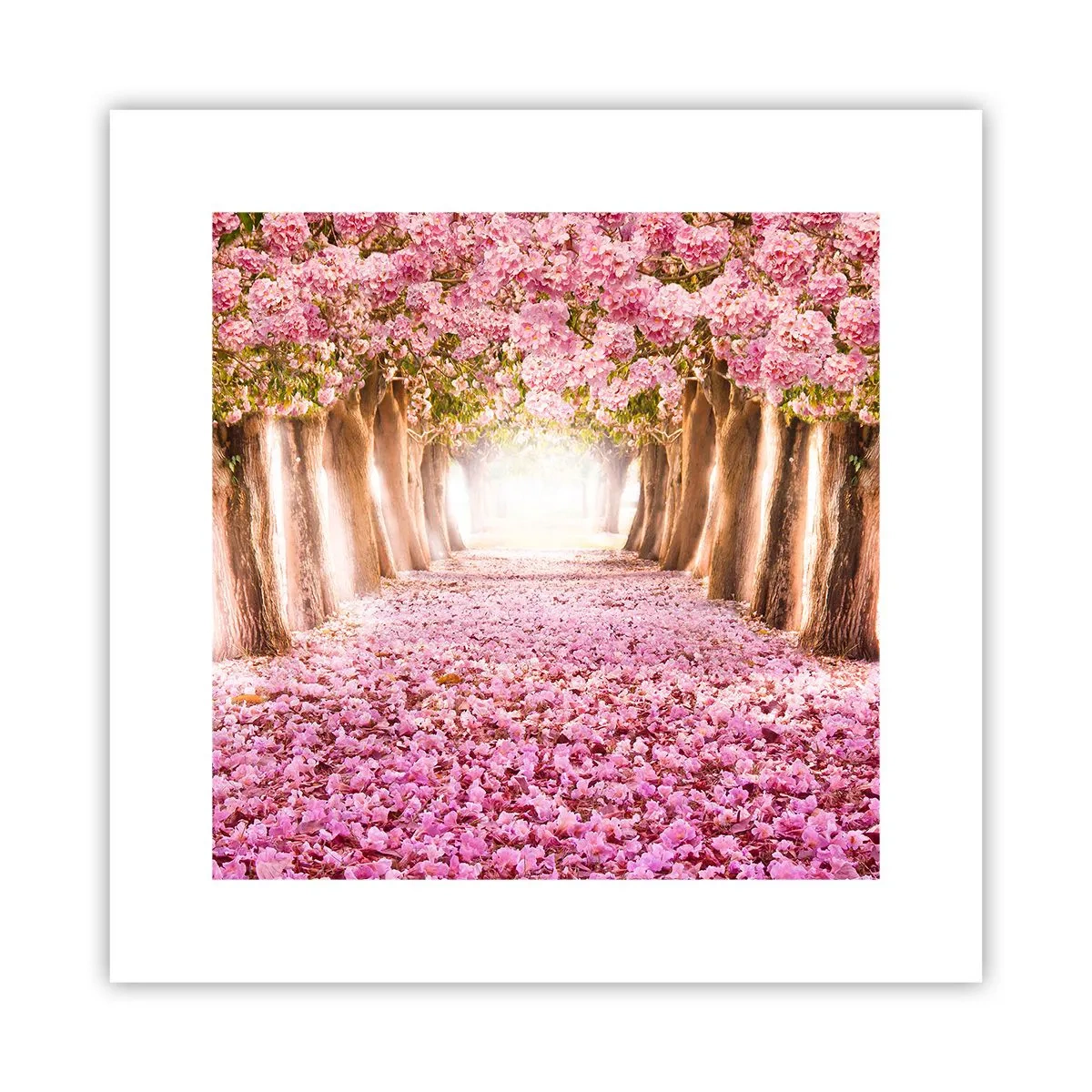 Plakát - Cesta do ráje - 30x30 cm