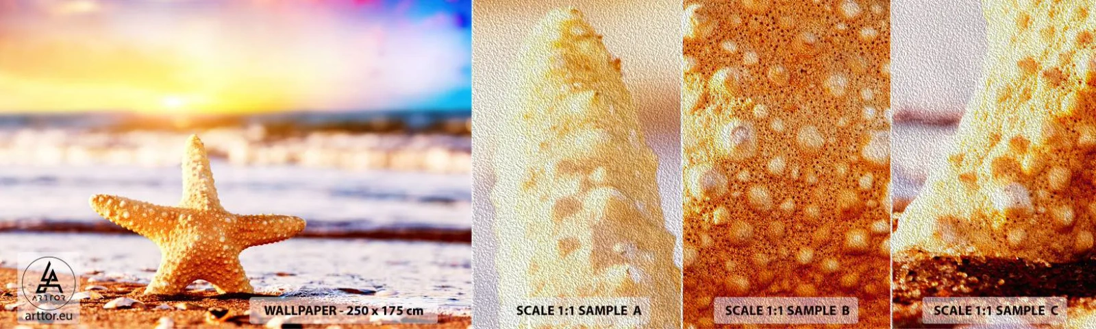 Vzor Fototapety Premium Sand - Mořský dárek - Mořská hvězdice, Pláž, Oceán - 100x30 cm