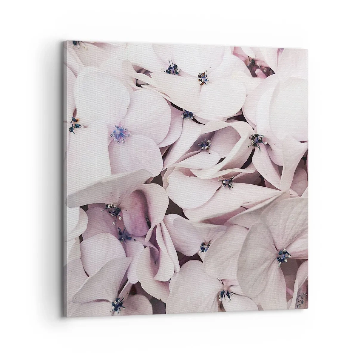 Obraz na plátně - V záplavě květin - 60x60 cm