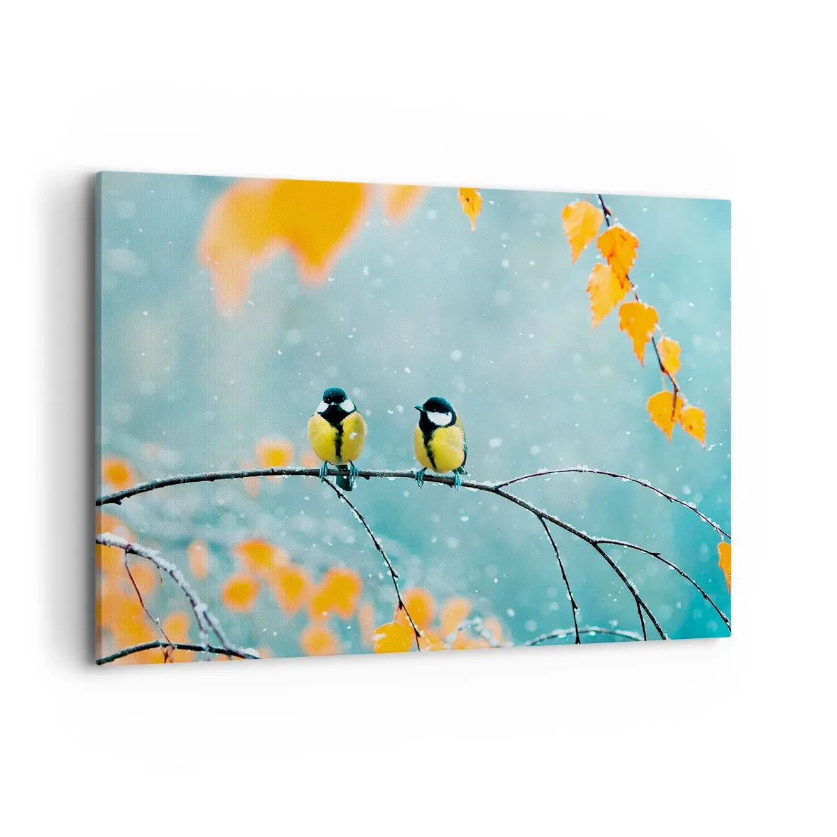 Obraz na plátně - Ptačí drby - 100x70 cm