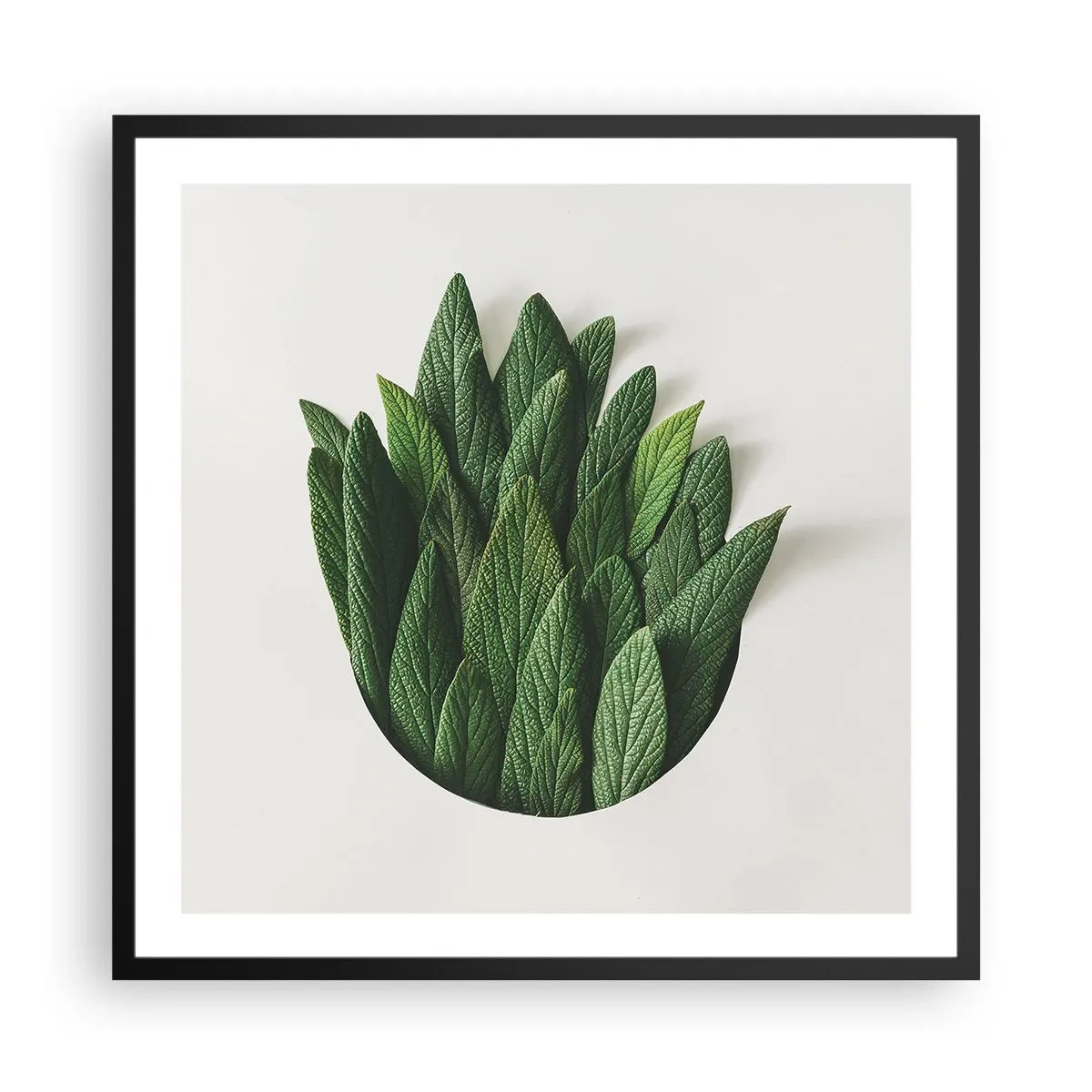 Plakát v černém rámu - Neukojitelná zvědavost - 60x60 cm