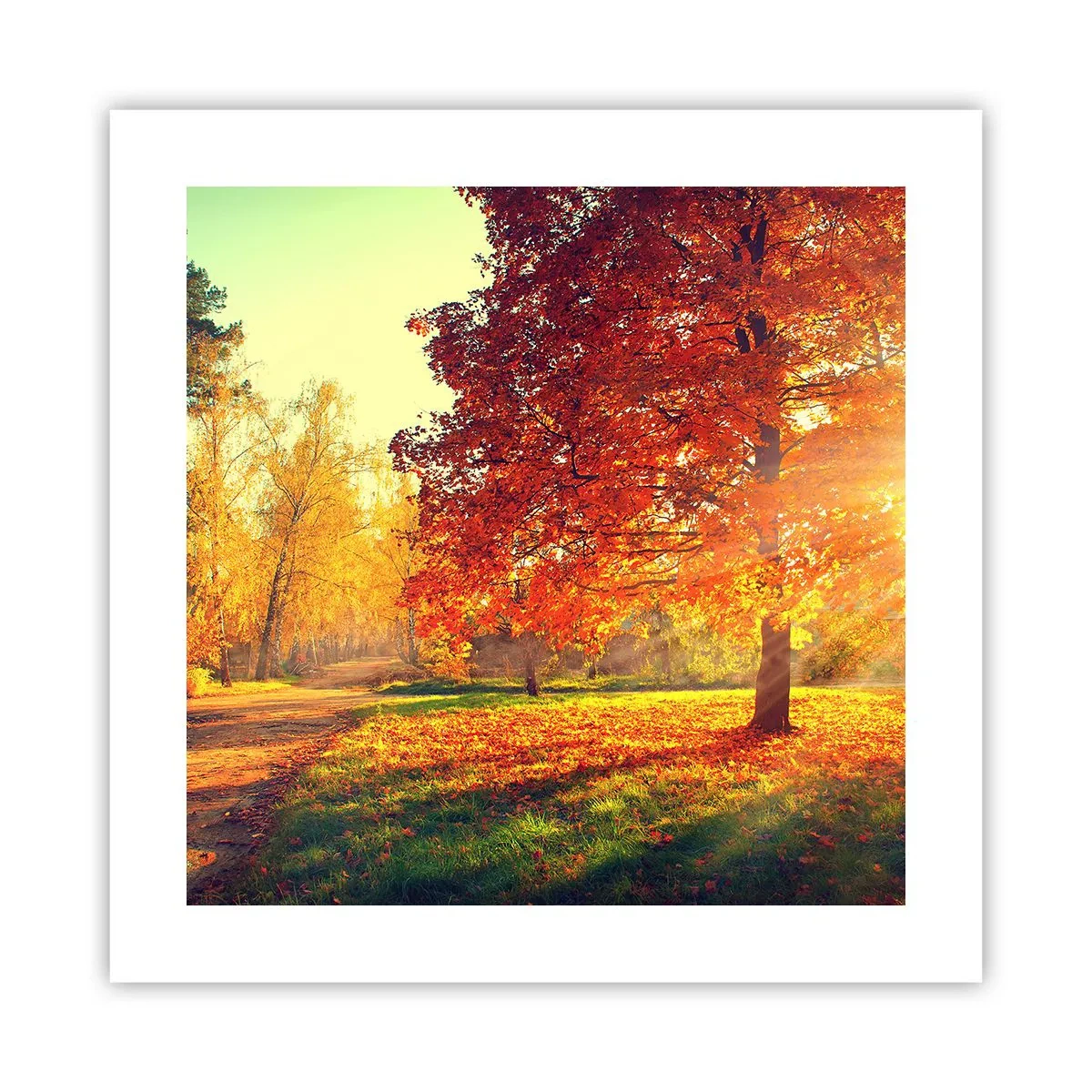 Plakát - Rudé je krásné - 40x40 cm