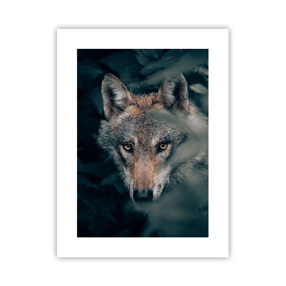 Plakát - Predátor - 30x40 cm