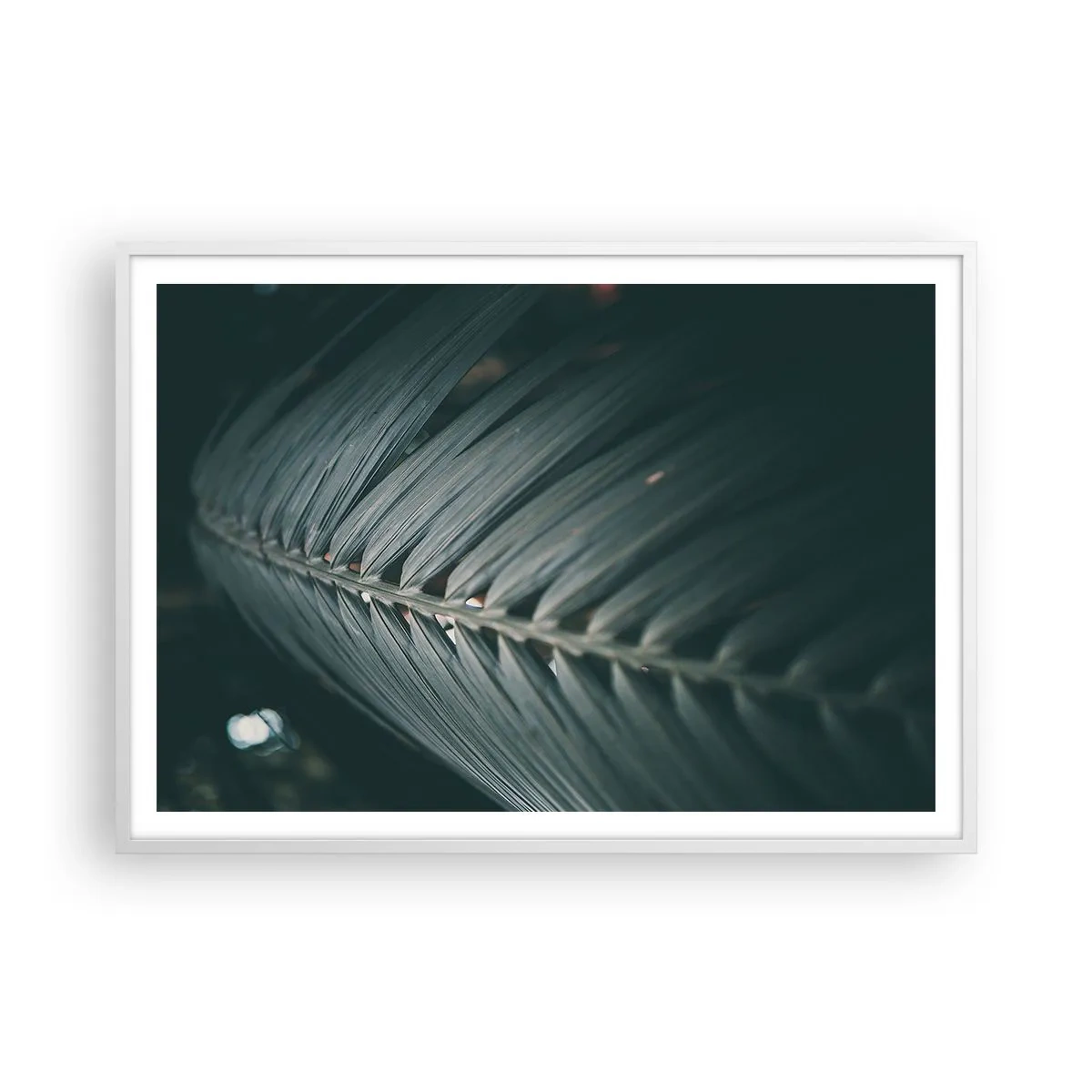 Plakát v bílém rámu - Přesnost přírody - 100x70 cm