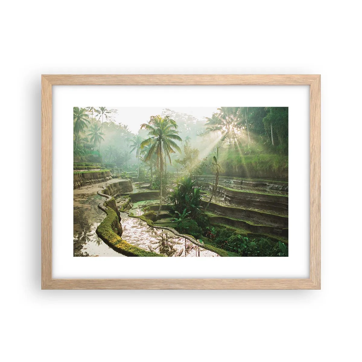 Plakát v rámu světlý dub - Vyrůstát na slunci - 40x30 cm