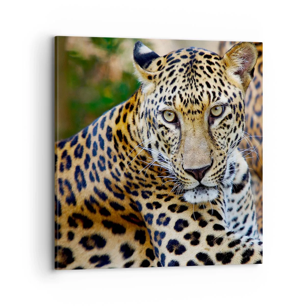 Obraz na plátně - Divoký a klidný - 70x70 cm